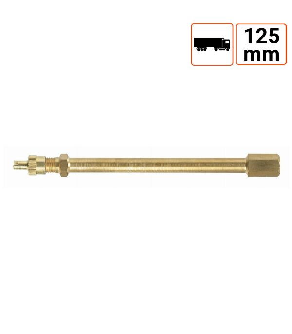 Rallonge de valve en laiton 125mm