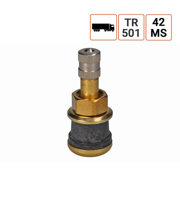 Valve Poids Lourds TR 501 ou 42MS